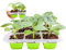 QTUN Bandejas Semilleros de Germinacion, 9 Celdas Bandeja de Germinación de Plantas, Bandejas para Inicio de Semillas Reutilizables, Mini Invernadero Bandejas de Cultivo Germinación