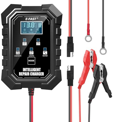 E-FAST Intelligent Repair Charger, 6V/12V, LCD Display, Repair/LiFePO4/CAR/MOTO Modes
