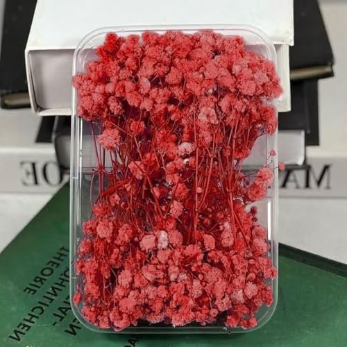 Schleierkraut Getrocknet 15cm Trockenblumen Zum Basteln - 12 Stück Getrocknete Blumen, Red Baby’s Breath Trockenblumen Deko Echte Natur, für DIY, Hochzeitsdeko, Haarschmuck, Wohnkultur