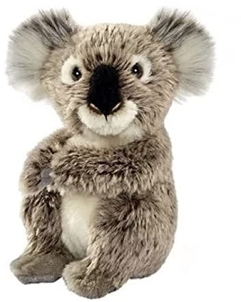 Anima – Plüschtier Koala 15 CMH
