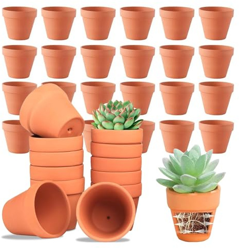 Colrid Pack 12 Macetas Mini Terracota 6x7 cm - Macetas Pequeñas de Barro con Agujero Drenaje para Plantas de Interior, Suculentas, Semillas - Naturales y Decorativas (12, 6 * 7 cm)