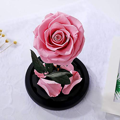 Rosa Rose Blume echte Rose Ewige konservierte frische Rose Blume in Kuppel Glas Bestes Geschenk für Valentinstag Geburtstag Muttertag Weihnachten Jahrestag (Rosa)