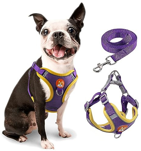 rennaio Hundegeschirr Kein Ziehen, Verstellbares Welpengeschirr mit 2 Leinenclips, Reflektierendes Hundegeschirr und Leine Set für kleine und mittelgroße Hunde (Lila, M)