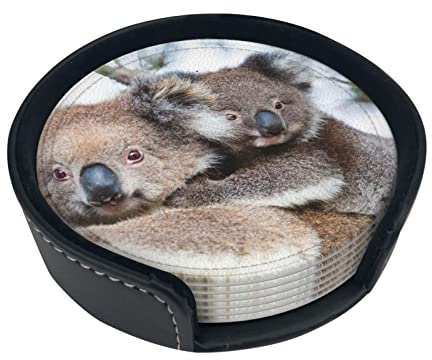Koala Bear Leder-Untersetzer, modisch, Verbrühungsschutz, rund, 10,2 cm, Getränkeuntersetzer-Set (6-teiliges Set), mit Aufbewahrungsbox, für Tischdekoration und Schutz zu Hause