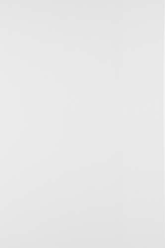 Netuno 50x Bastelpapier Weiß DIN A4 210x 297 mm 140g Splendorgel Extra White weißes Papier hochwertig bedruckbar Naturpapier Feinpapier Basteln dickes Druckerpapier Qualität A4 Broschüren Papier