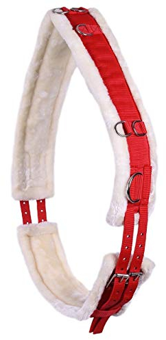 QHP Ontario Longiergurt, Größe:WB, Farbe:rot