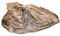 YTOOZ Herr der Ringe Statue, Smaug Herr der Ringe Drachenskulptur Statue Tischdekoration Geschenk
