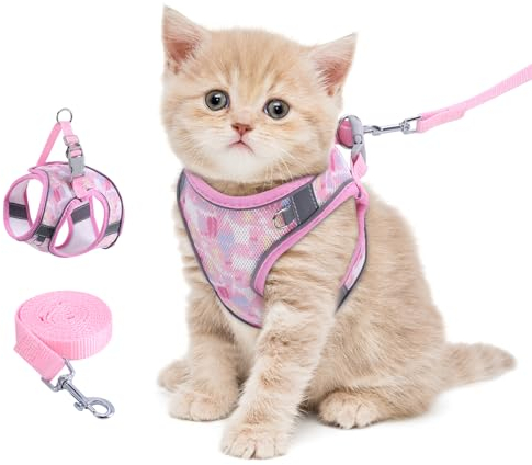 Brifit Katzengeschirr mit Leine 150cm, Katzengeschirr Ausbruchsicher & Hochwertig Softgeschirr für Katzen Hunde, Katzenleine mit Geschirr für Katzen Kleine Hunde [Rosa XS] für 3-5kg Haustier