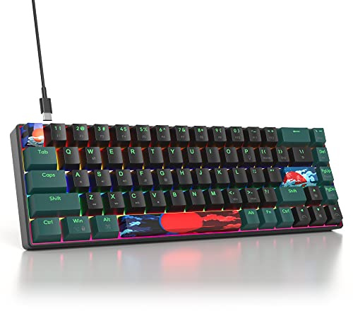 iTastatur 60 Percent Gaming Keyboard Mechanical with Linear Red Switch, 65% Wired Ultra-Compact Mini Keyboard Rainbow with PBT Keycaps for Ps4/Ps5/Xbox(68 Green)