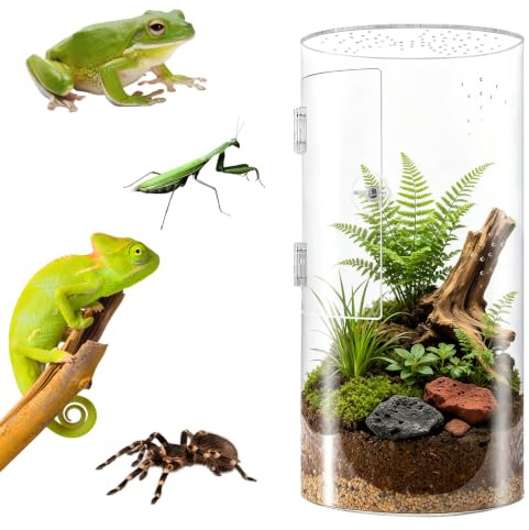 Acryl Terrarium 30x15x15 cm, Rechteckiges Vivarium 360° Sicht, Faunarium mit Querlüftung, Wasserdicht Mini Terrarium Für Springspinne, Gottesanbeterin, Gecko, Laubfrosch, Käfer