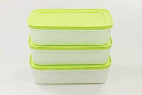Tupperware Set di 3 contenitori bassi per freezer 29739 da 1,0 l, di colore verde e bianco, in finitura satinata e dal design con cristalli di ghiaccio