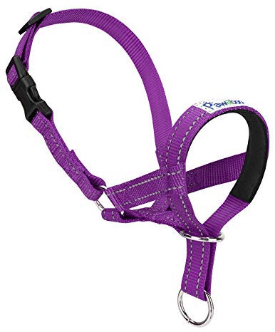 Pawaboo Hundehalfter Haustier Sicher Kontrolle - Nylon Reflektierende Einstellbare Hundehalter Hundeband Training Halter für Hunde, Wepeln, S Größe, Lila