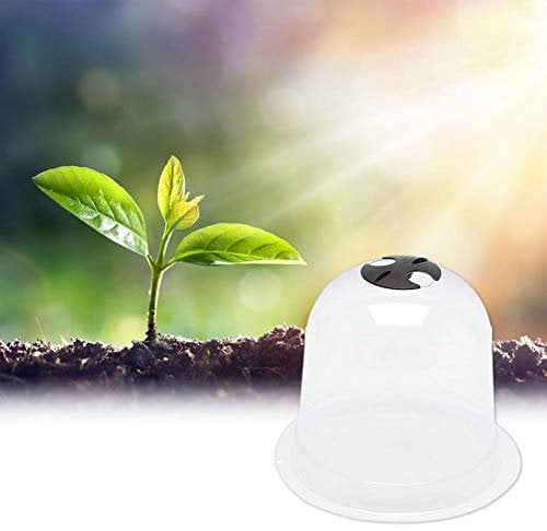 YANGMEI Lot de 10 cloches réutilisables en plastique de 25,4 cm pour serre de jardin - Protection contre le gel - 30 piquets métalliques + 10 étiquettes pour plantes