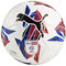 PUMA Orbita 6 EFL Football 2024 2025