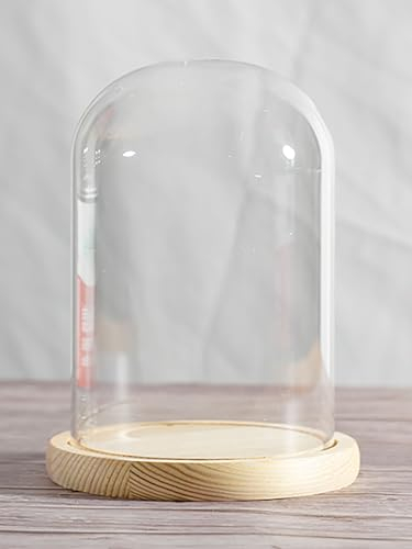 COYOUCO Dia12cm Glass Cloche Dome Display with Solid Wood Base for Displaying Plants, Ornaments, Figurines, Height20/22/26/30cm,Dia12*H26cm