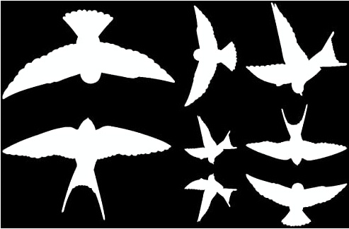 Samunshi® Wandtattoo Vogelschutzaufkleber Schwalben-Set 45X30cm weiß