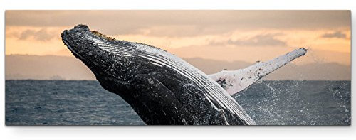 Eau Zone Wandbild auf Leinwand 120x40cm Springender Buckelwal
