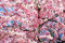 Portal Cool 5 X Big japanischen rosa Kirschblüten dekorativen Kirschbaum F1 Samen # 400