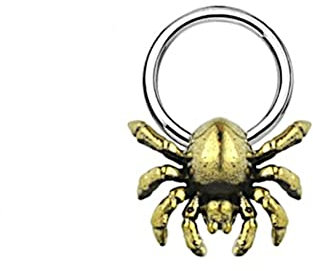CHICNET Universal Piercing Klemmkugel Ring silber gold Messing Brass 316L Edelstahl Septum Helix Tragus Ball Closure BCR Spinne Vogelspinne 1mm 1.2mm 1.6mm Stärke 01 mm