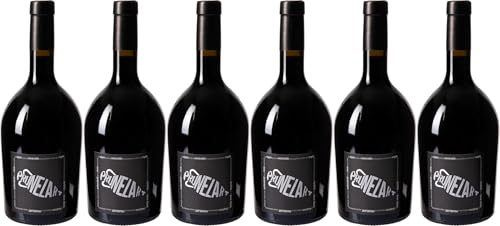 Domaine Philemon Cuvée Prunelart Amphore Gaillac AOP 2024 Trocken Bio (6 x 0.75 l)