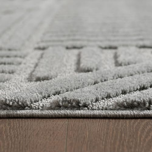 KADIMA DESIGN Teppich 3D Skulptur Skandinavischer Boho Samtweich Waschbar Strapazierfähig Robust 8mm Flor Silber 160x230 cm Esszimmer Wohnzimmer Fußbodenheizung geeignet Oeko-TEX | RIGI