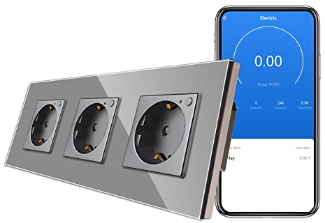 Cnbingo Wlan Schuko Socket Lavador con Medición de Potencia 16 Amp Toma Inteligente de Cristal con Alexa (Echo, Echo Dot), Google Assistant, solo 2,4 GHz Wi -Fi, 3 Temas, Gris, Gris, 1er Pack