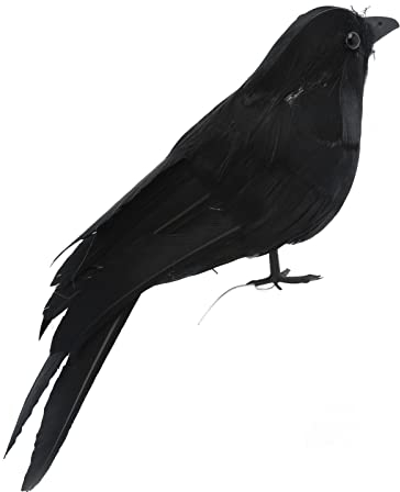 MAGT Realistische Federrae, Schwarze Federvögel, Halloween-Dekorationszubehör, gruselige Partydekoration (Schwarze Augen)