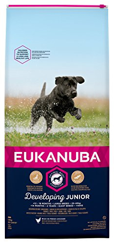 Eukanuba Dog - Developing Junior - Large Breed - 12 kg