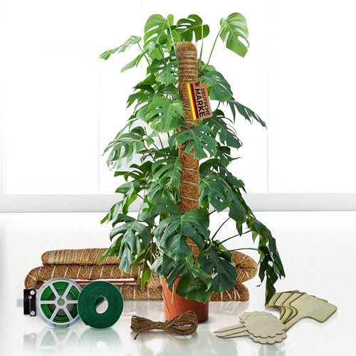 KARAFAKI Bâton de mousse de qualité supérieure pour Monstera - Lot de 2 - 68 cm - Fibre de coco - Avec 10 panneaux en bois - 20 m de corde de plante - Corde de jute de 2 m et corde Velcro -