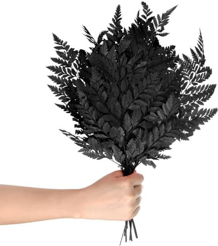M METERXITY 10 Stück Farn, 15 Natürliche getrocknete Grünpflanzen mit Stielen für Hochzeitsgirlandensträuße / Heimparty / DIY-Handwerksdekorationen, Getrocknete Pflanzen [Schwarz]