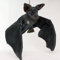 Fledermaus Kuscheltier Plüschtier Stofftier (Betty)