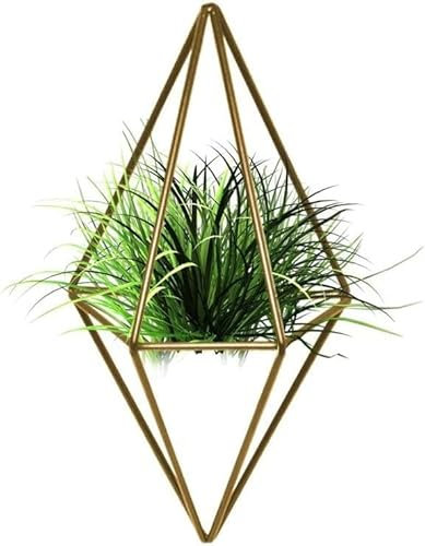 BOLYUM 2 x hängende Luftpflanzenhalter, geometrische Wanddekoration, Betonbehälter, Luftpflanzen-Wandhalter, ideal für Sukkulenten, Luftpflanzen, Mini-Kaktus, Kunstpflanzen und mehr (Gold)