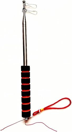 Pandiui23 Fahnenmast, 3 m, Teleskop-Fahnenstange, Handfahne aus Edelstahl, Teleskopmast (3 m, 2 Stück)