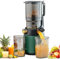 Slow Masticating Juice Extractor, Portable Pomace Separation Juicer 300W, Cold Press Masticating Juicer Machine with 13cm Feeding Chute - for Fruits and Vegetables, High Juice Yield,Green