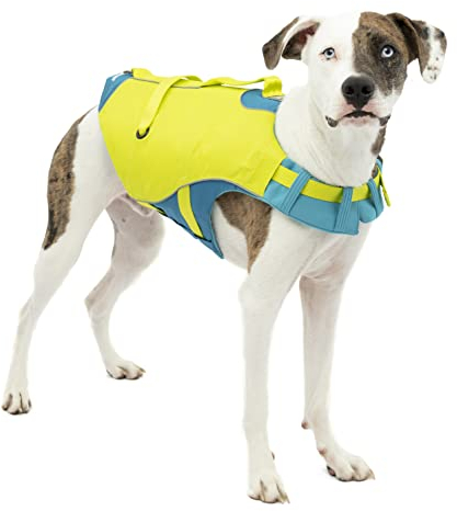 Kurgo Surf n' Turf Hundeschwimmweste – Flotation Schwimmweste zum Schwimmen und Bootfahren – Hundeschwimmweste mit Rettungsgriff und reflektierenden Akzenten – maschinenwaschbar – Blau/Grün, Größe XS
