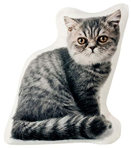 your castle Kätzchen Junge Katze Kissen, Dekokissen, Zierkissen in Katzenform Kuschelweich ca. 37x30 cm