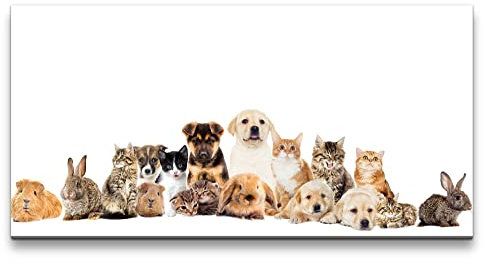 Paul Sinus Leinwandbild 120x60cm Süße Tiere Welpen Kätzchen Hasen Hamster Niedlich
