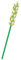 Balody Modèle de Fleur à Assembler avec de Petits Blocs de Construction. Sétaire