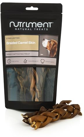 Natural Treats Braided Camel Skin for Dogs (4pcs) Hypoallergenic Chew Treat