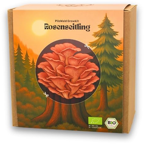 PilzWald Growkit Rosenseitling - Speisepilze selber züchten - Pilzzucht Set für Anfänger mit Bilder-Anleitung - Rosa Austernpilz Pilzzuchtset für Haus & Garten