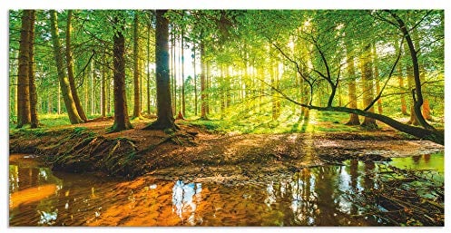 ARTland Spritzschutz Küchenrückwand aus Alu für Küche Herd Spüle 120x60 cm (BxH) mit Motiv Natur Landschaft Wald Bäume Sonne Bach Landhaus Grün T9IO