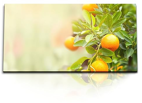 Paul Sinus Kunstdruck Bilder 120x60cm Orangenbaum Orangen Sommer Grün Natur