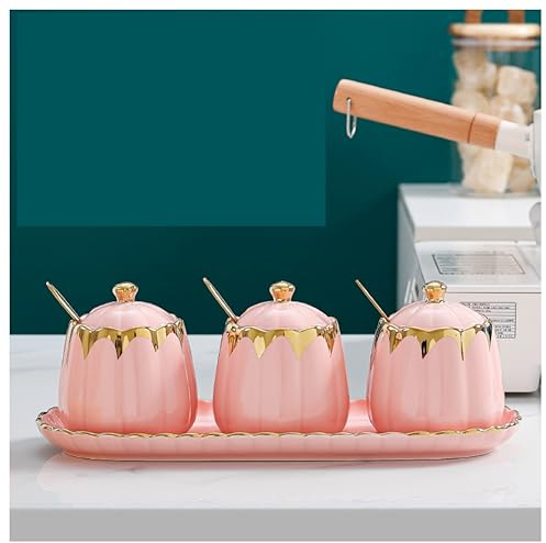 Caja de condimentos, tarros de cerámica para especias, juego de ollas para condimentos de cocina, salero, azucarero, combinación de caja de condimentos, tarros de especias (color: rosa) (verde) (ros