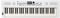 Roland GO:KEYS 5 Music Creation Keyboard | 61-Note Keyboard | ZEN-Core Engine with Over 1000 Onboard Sounds | Built-In Stereo Speakers | Mic Input | Bluetooth Audio/MIDI Support, White