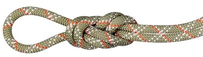 Mammut 9.5 Gym Classic Rope | Kletterseil für das Hallenklettern | 40 m, Boa-White