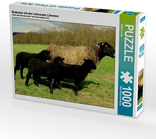 CALVENDO Puzzle Muttertier mit DREI schwarzen Lämmern | 1000 Teile Lege-Größe 64 x 48 cm Foto-Puzzle für glückliche Stunden