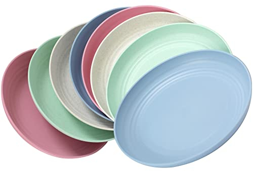 Kazaigou 8 Pack Plastic Plates 24.8cm/9.8 Inch Dinner Plates, Lighweight & Unbreakable Dishes, Plastic Dishes Dinnerware Sets, Resuable Microwave & Dishwasher Safe, BPA Free for Kids and Adult