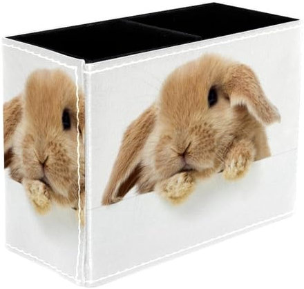 VAPOKF Joli petit lapin porte-stylos pour bureau, 2 compartiments, pot à crayons, pinceaux de maquillage, organisateur de fournitures de bureau pour la maison et le bureau