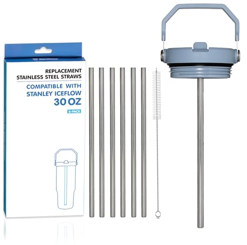 Marchoose Replacement Stainless Steel Straws for Stanley Ice Flow 8.2 cm, Reusable Straw for 30 oz, with Cleaning Brush, Compatible with Flip Straw Tumbler