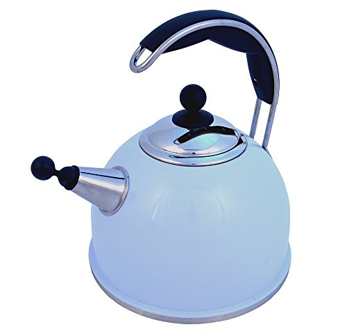 AGA Stainless Steel Whistling Kettle Duck Egg